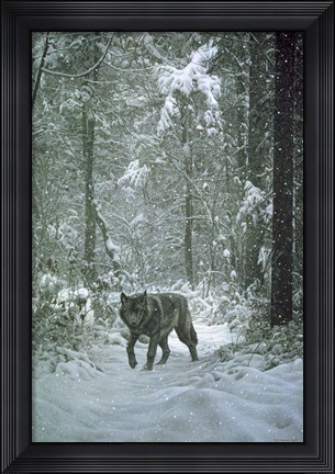 Framed Winter Encounter - Wolf Print