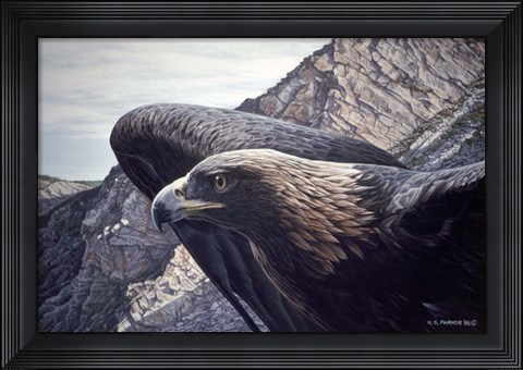 Framed Golden Eagle 2 Print