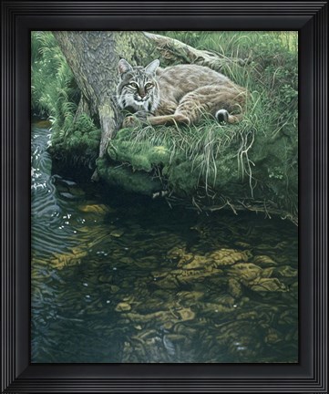 Framed Summer Stream Bank Print