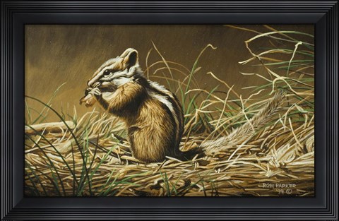 Framed Chipmunk Print