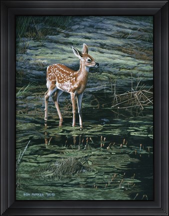 Framed Ponds Edge Print