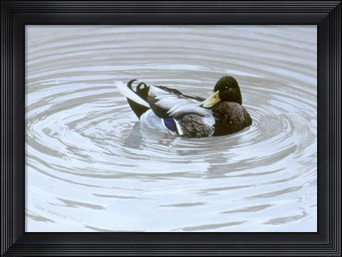 Framed Preening Print