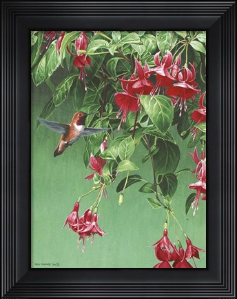 Framed Hanging Basket Print