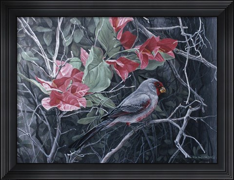 Framed Pyrrhuloxia Print