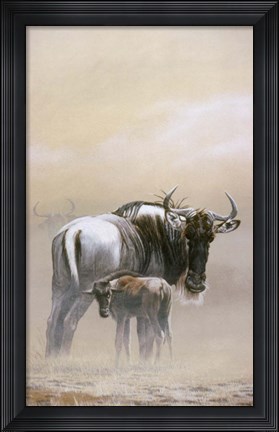 Framed Wildebeest Print