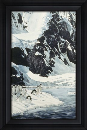 Framed Penguins Print