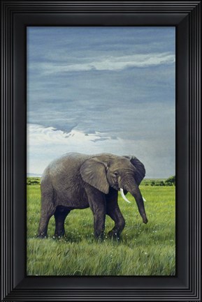 Framed Elephant Print