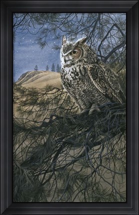 Framed Great Horned Owl 2 Print