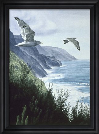 Framed Mew Gull Print