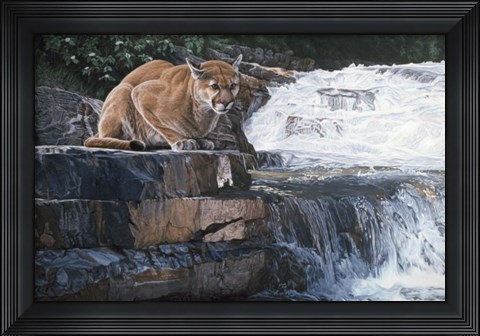 Framed Summer Creek Print