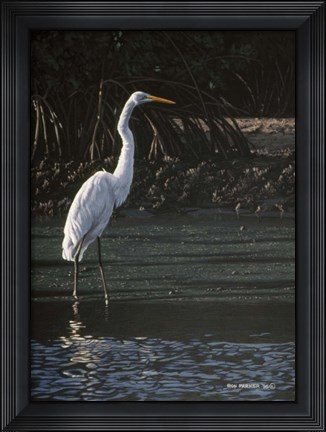Framed Great Egret Print