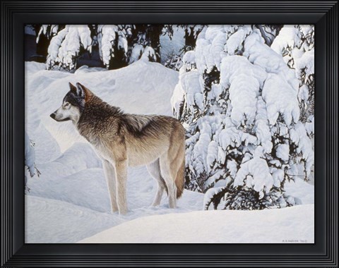 Framed Winter&#39;s Blanket Print