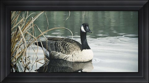 Framed Tranquil Water Print