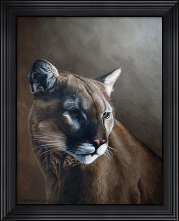 Framed Cougar Print