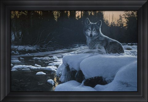 Framed Evening Solitude Print