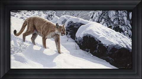 Framed Soft Snow- Cougar Print