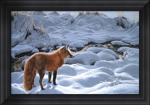 Framed Icy Morning- Red Fox Print