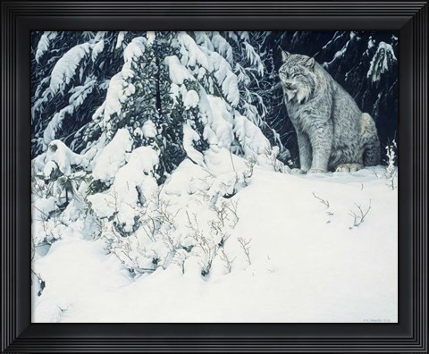 Framed Silent Forest- Lynx Print