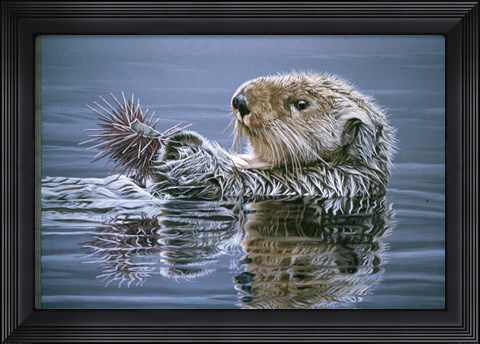 Framed Sea Otter With Urchin Print
