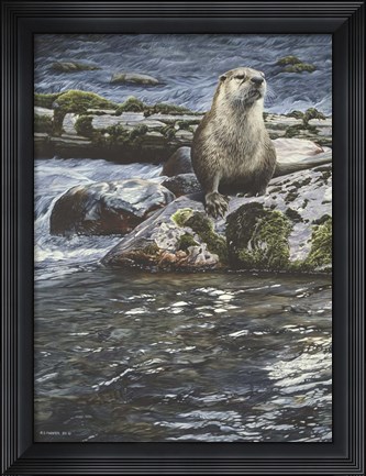 Framed Riverside Pause- River Otter Print