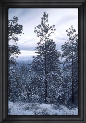 Framed Evening Silhouette - Coyotes Print