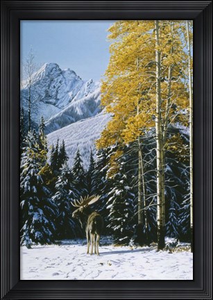Framed Trembling Aspen Print