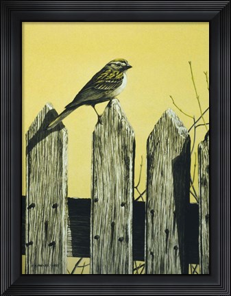 Framed Picket Fence Print