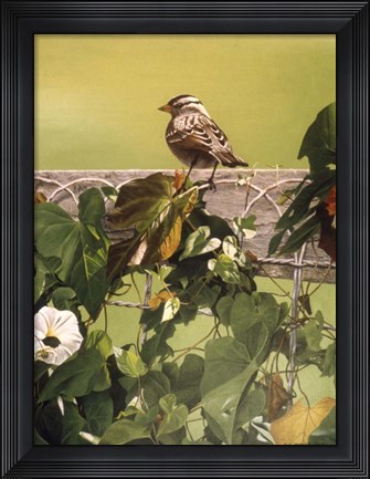 Framed Morning Glory Print