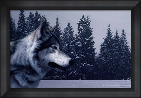 Framed Gray Wolf Portrait Print