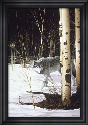 Framed Grey Wolf &amp; Aspen Print