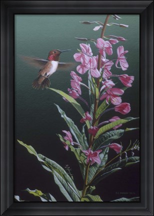 Framed Fireweed Print