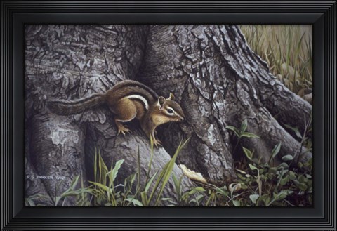 Framed Wary Glance Print