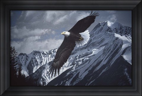 Framed Wings Over Winter Print