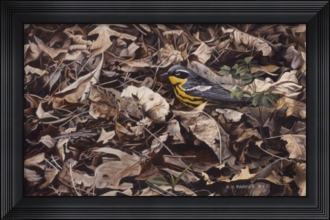 Framed Forest Floor Print