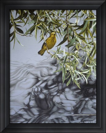 Framed Willow Print