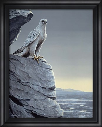 Framed Arctic Spring Print
