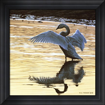 Framed Evening Reflections Print