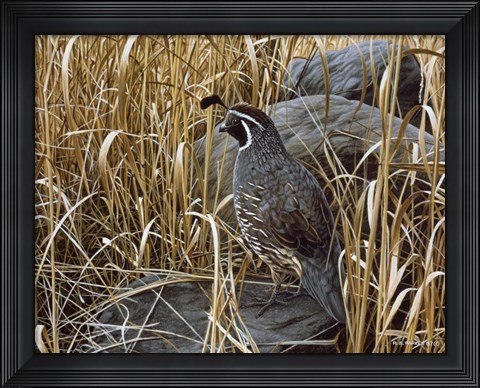 Framed Golden Grasses Print