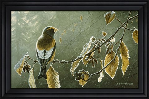 Framed Frosty Alder Print