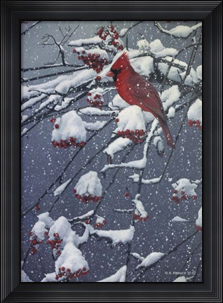 Framed Mountain Ash Print