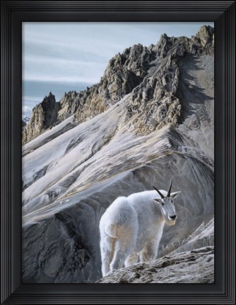 Framed Ramparts- Mountain Goats Print