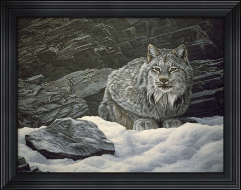 Framed Resting Spot Print