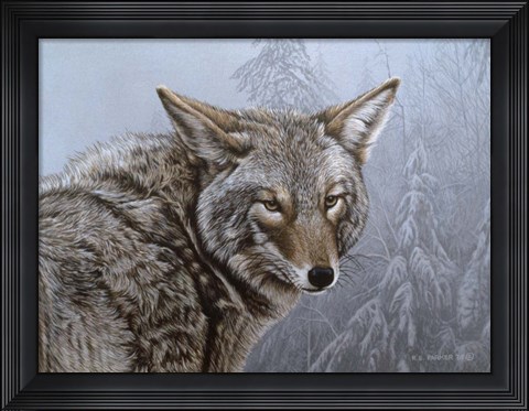 Framed Coyote Portrait Print