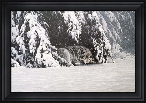 Framed Waiting Out The Storm Print
