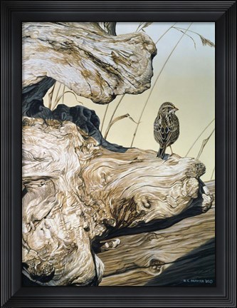 Framed Driftwood Print