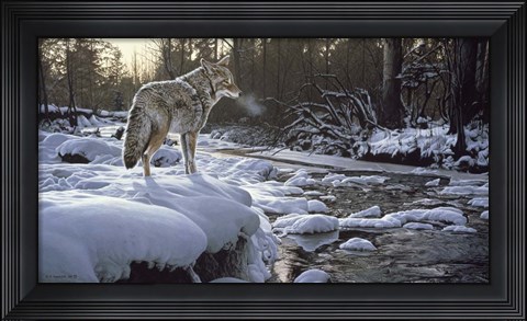 Framed Winter Creek - Coyote Print
