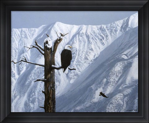 Framed Winter Perch Print
