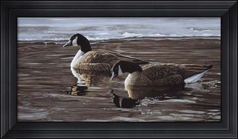 Framed Break In The Ice- Canada Geese Print