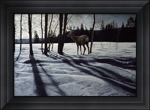 Framed Afternoon Shadows- Mule Deer Print