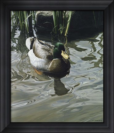 Framed Reflections Print